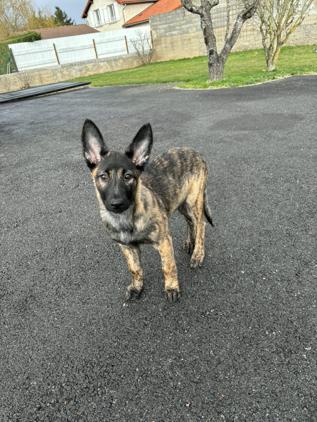 WhatsApp Image 2026-02-20 at 09.43.33.jpeg